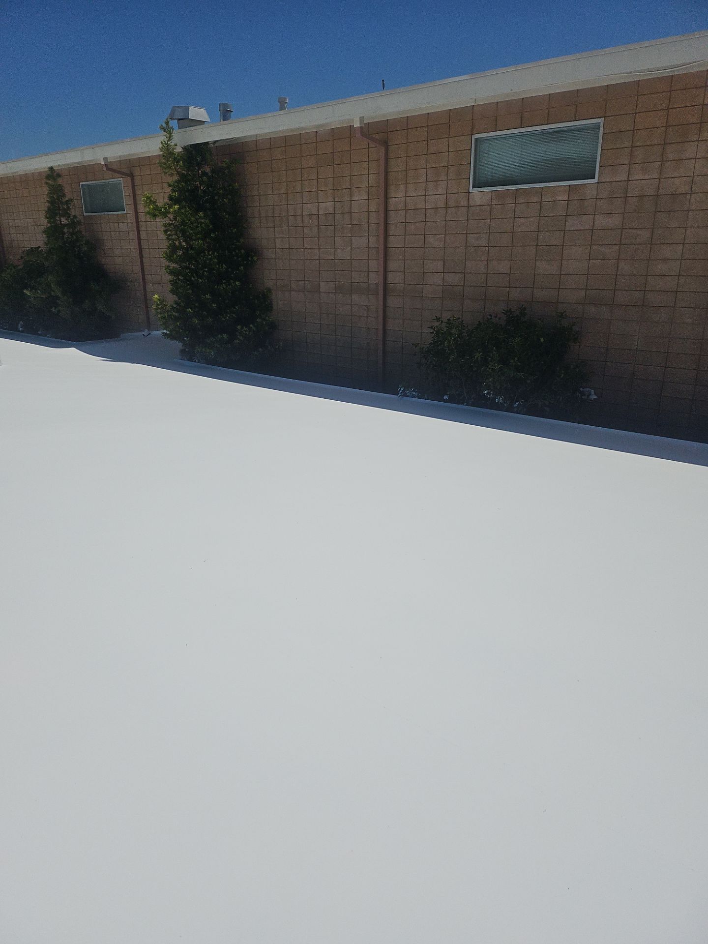 Single-ply restoration system using Benchmark/PUMA XL coatings over TPO single-ply roofing by Straight Edge Roofing Inc