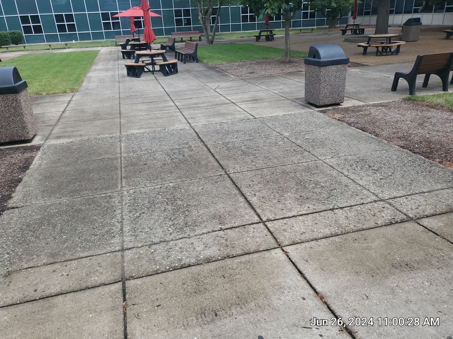 concrete using Algaecide, soft wash soap by Northern Power Washing LLC.