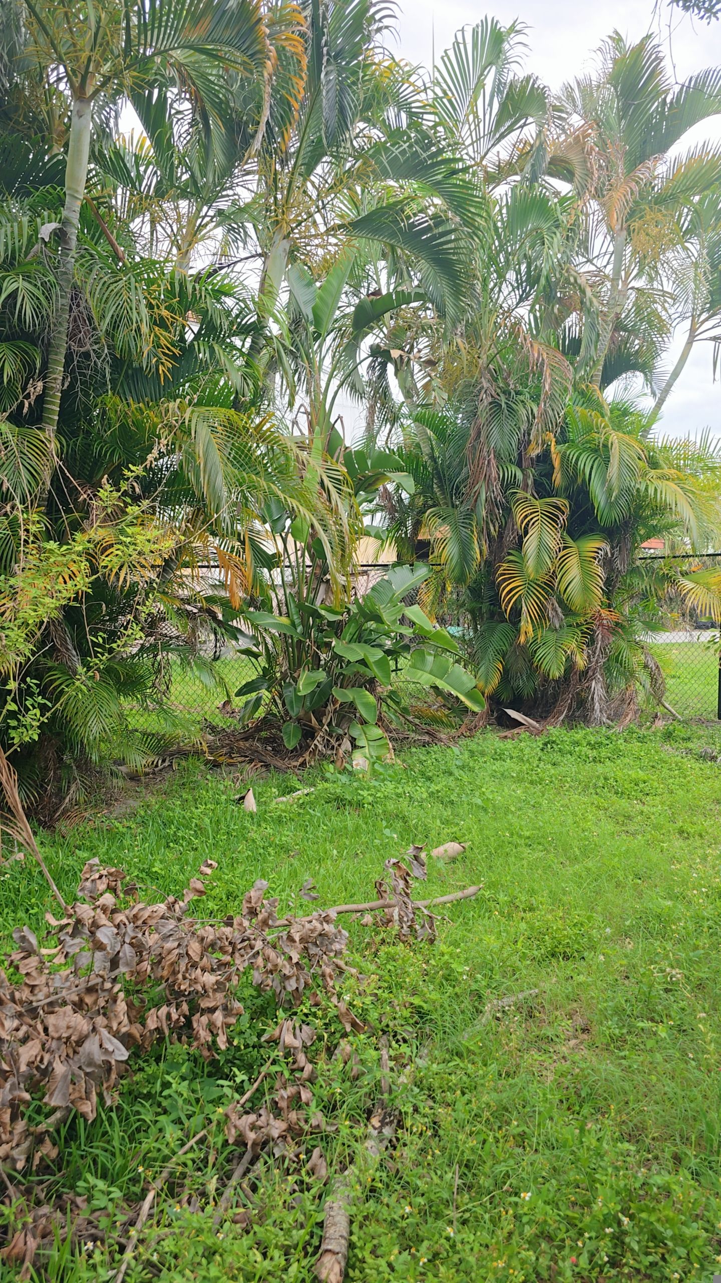 Black Vinyl Chain Link Fence Installation in Bradenton by True Fence LLC