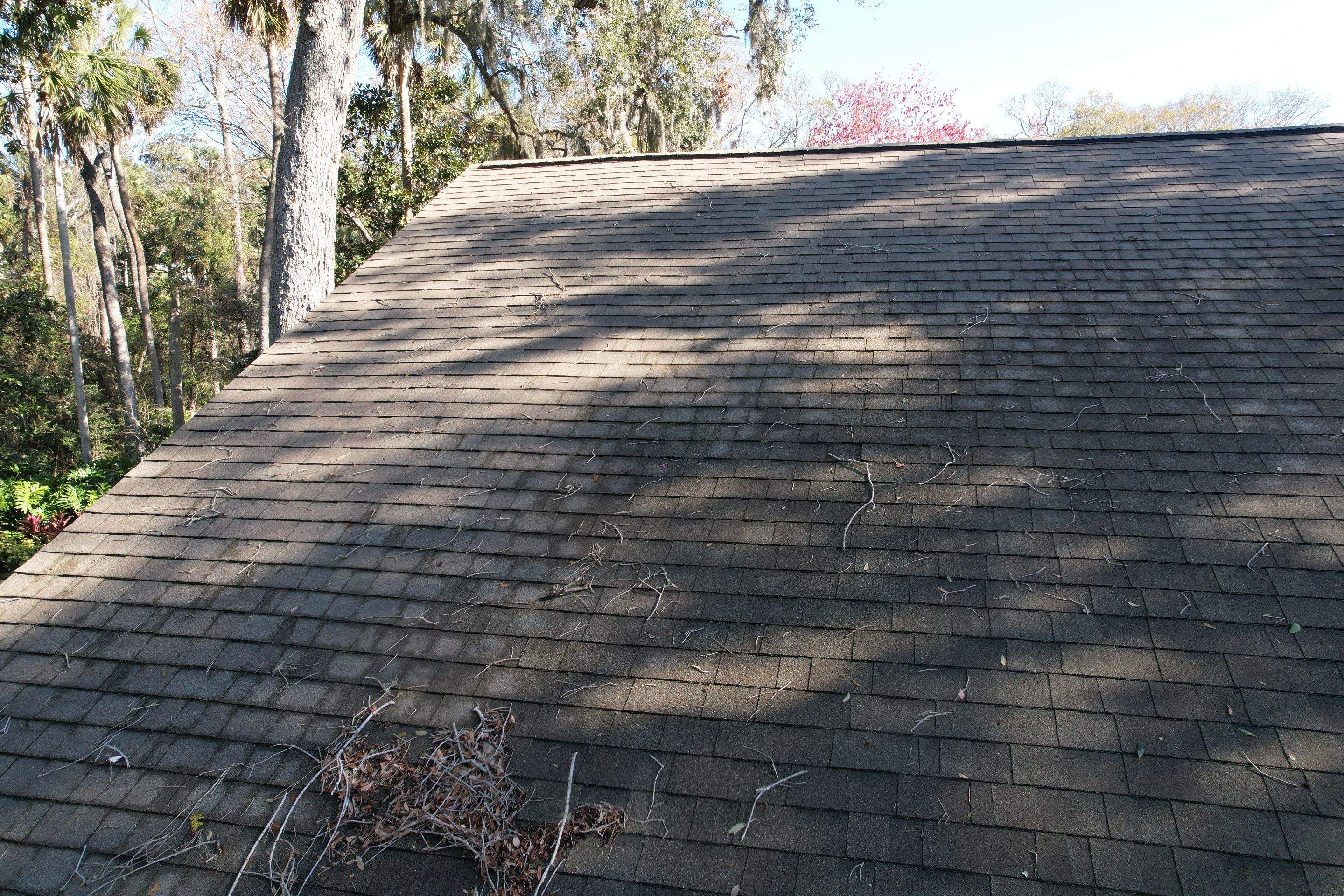 Shingle -> Shingle by Prime Roofing