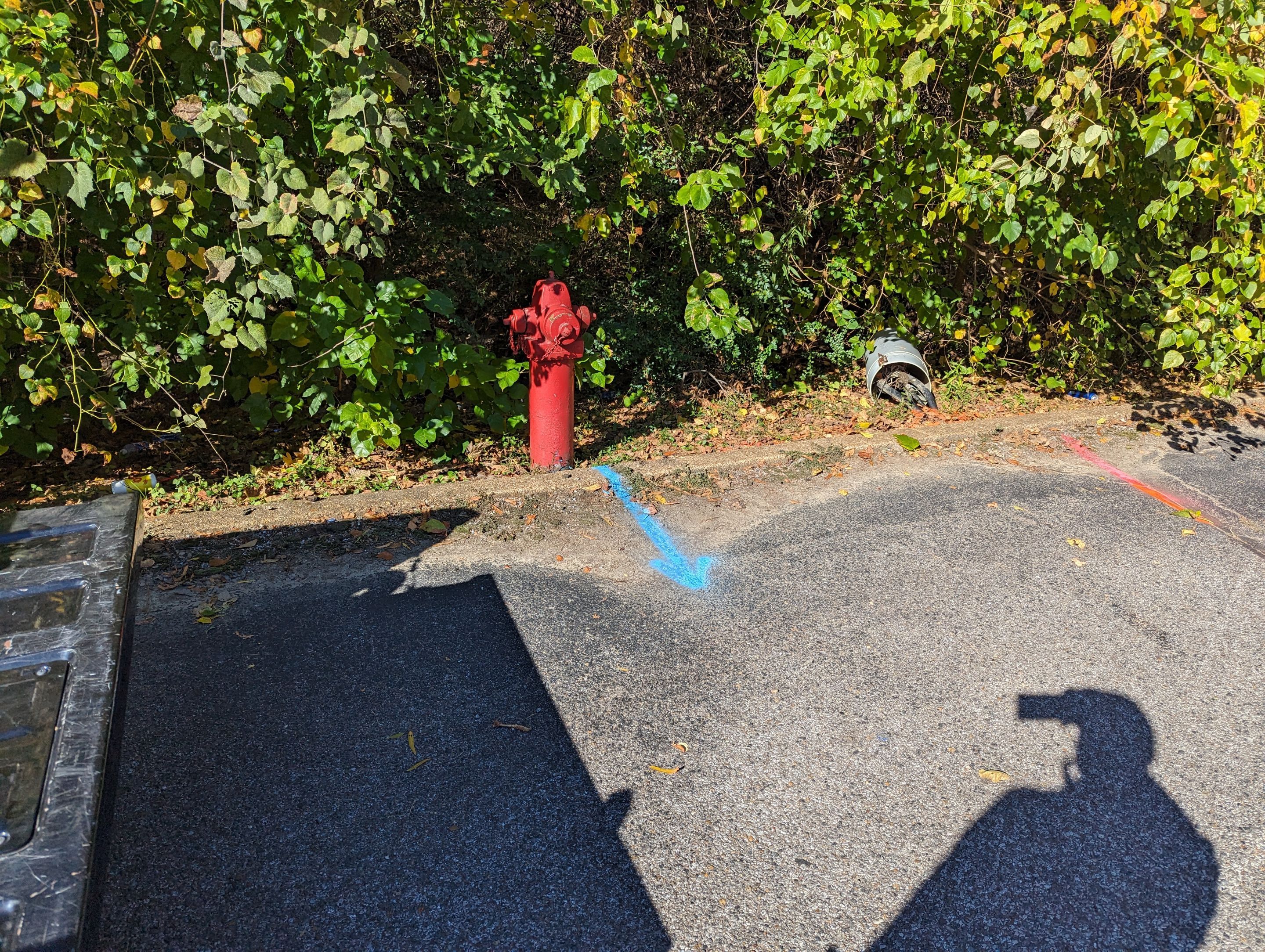 Utility Locating and Verification for Survey Crew by Alsip Locating Service, LLC