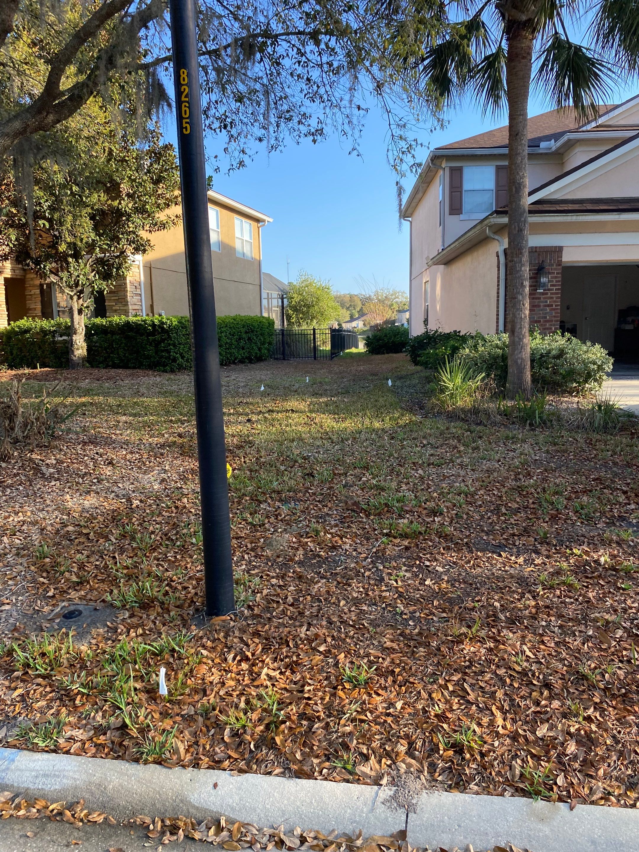Residential | Sod Install by ProGreen Services