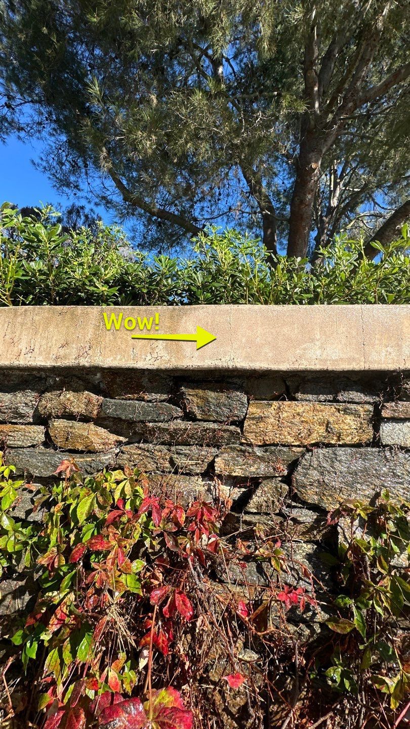 Newport Pressure Washing at HOA Community Entrances by Property Cleaning Experts