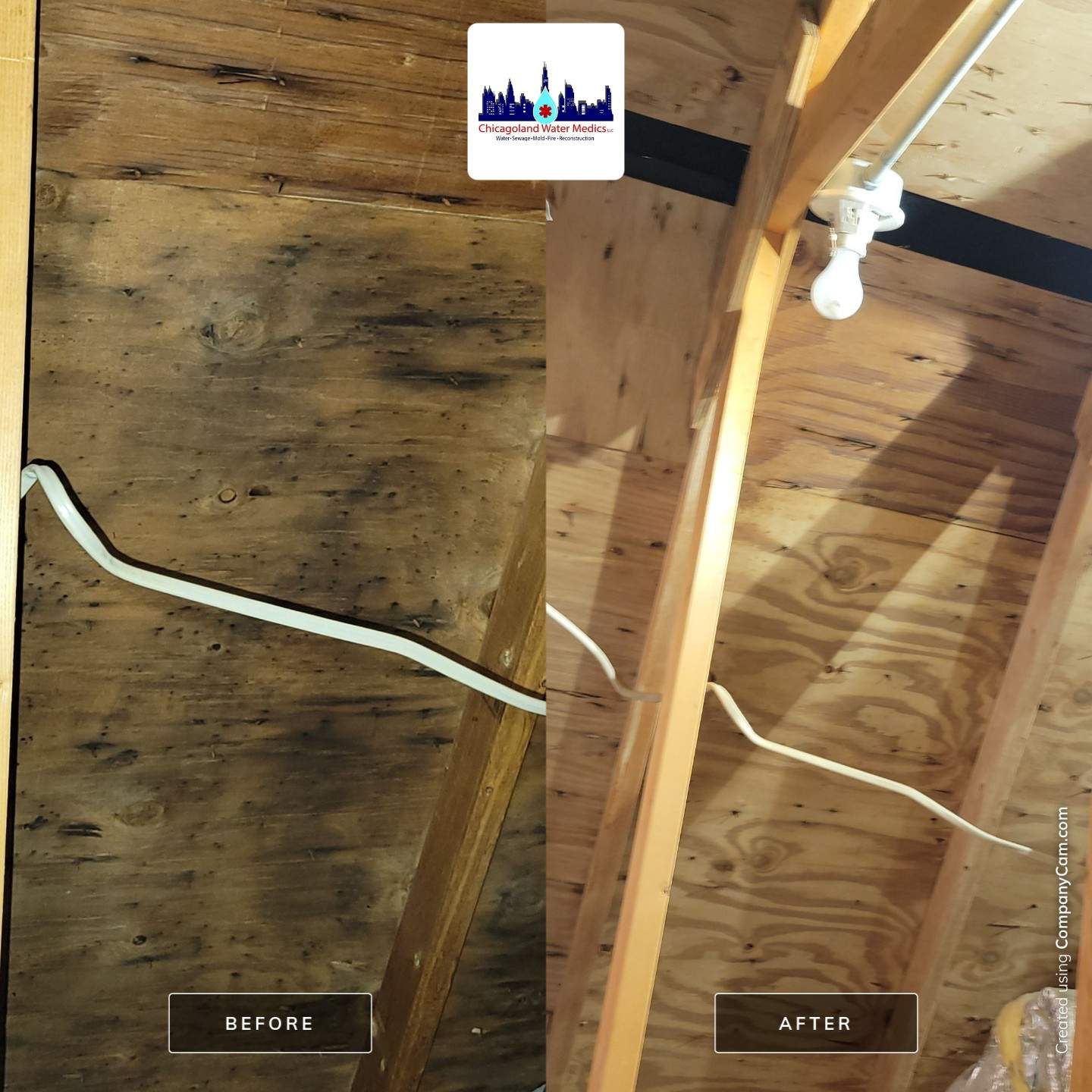 Attic Mold Remediation by Chicagoland Water Medics