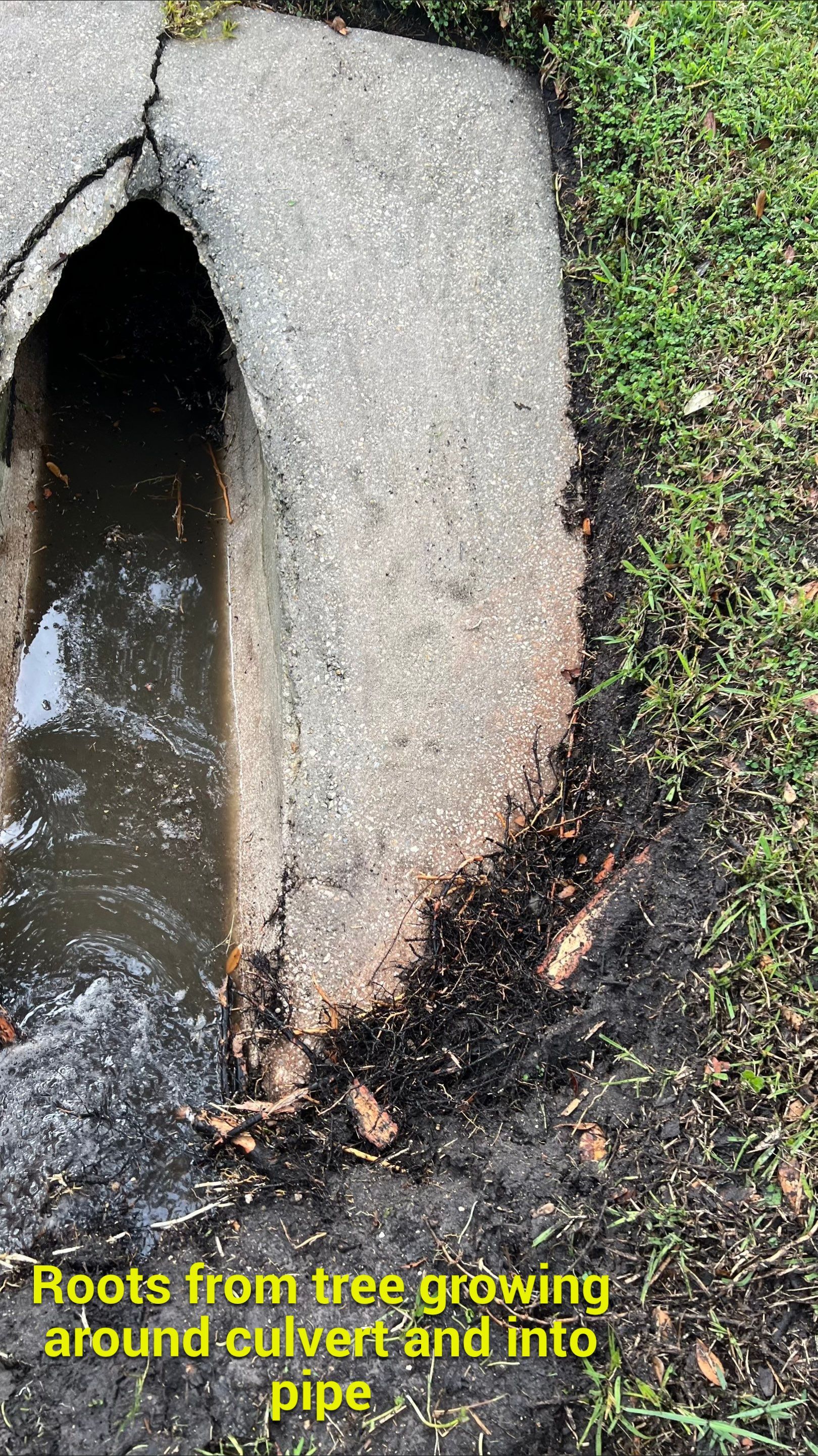 Naples Community Entry Road Stormwater System Cleaning by Don Mar, Inc. Storm Water Solutions
