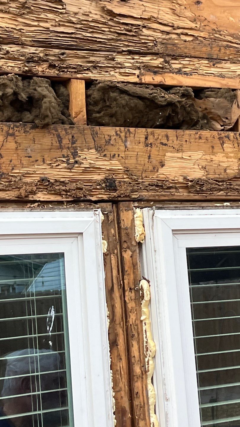 Steep? No Problem! by Bayfront Roofing and Construction