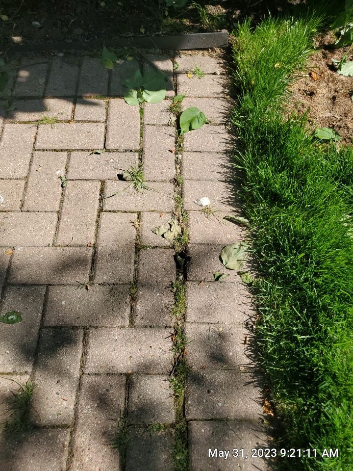 Brick paver clean, sand and seal. using Surebond SB-1300 by Northern Power Washing LLC.