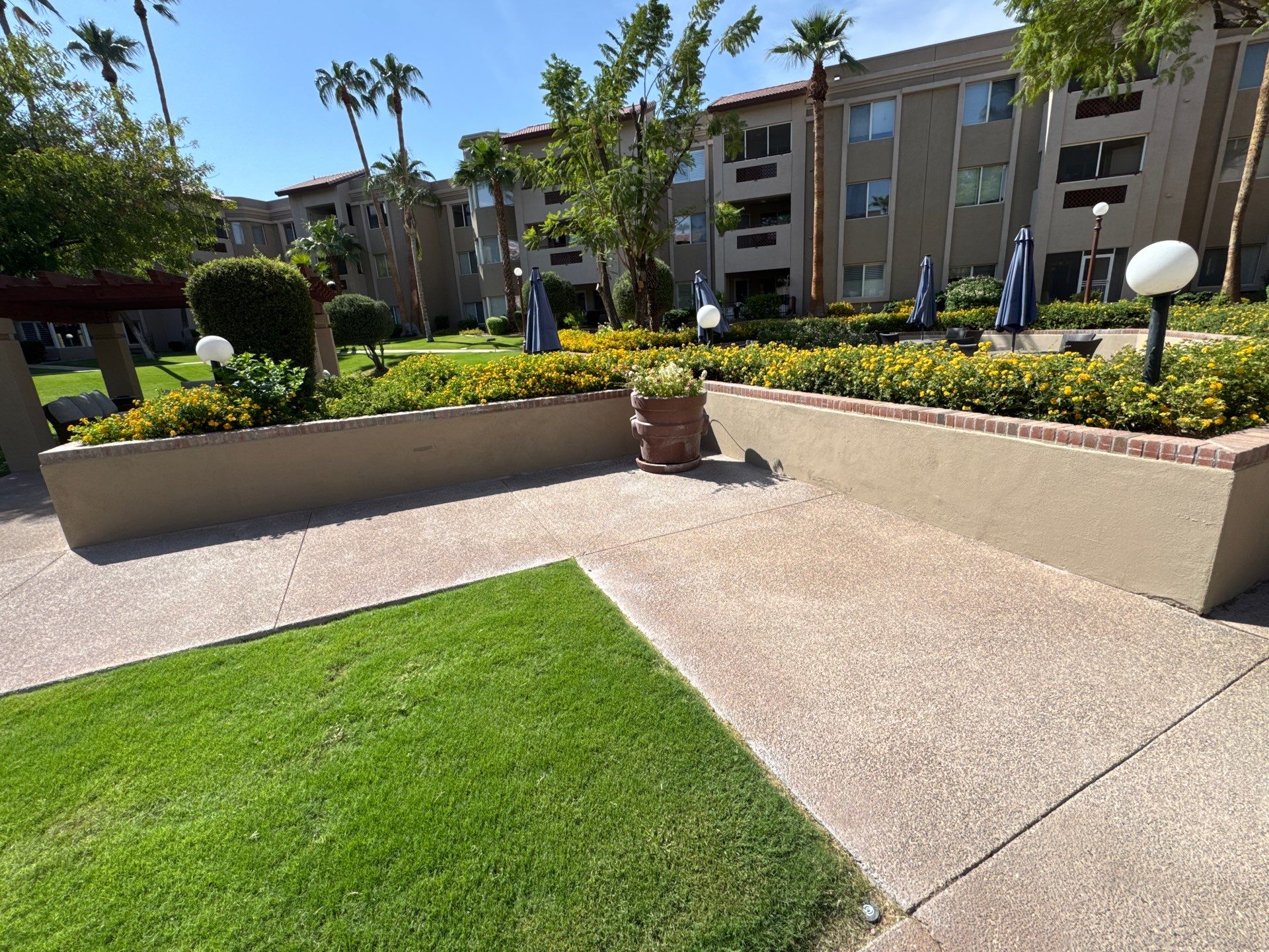 Project in Sun City by Crush Development Services LLC