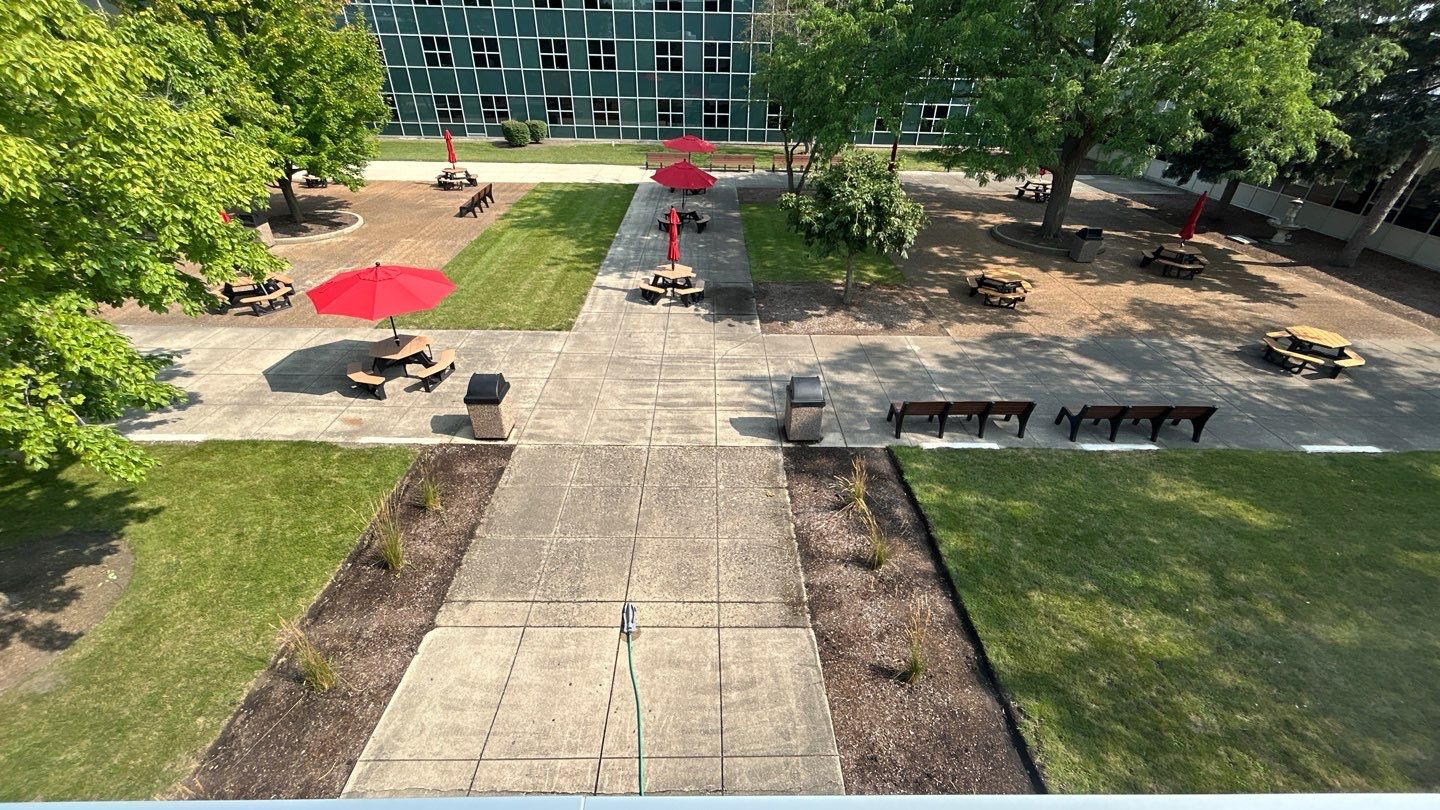 concrete using Algaecide, soft wash soap by Northern Power Washing LLC.