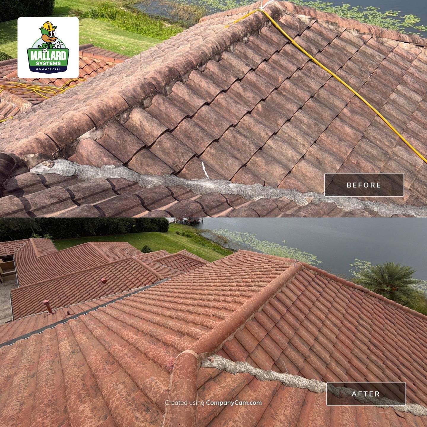 Residential Roof Cleaning in Windermere by Mallard Systems