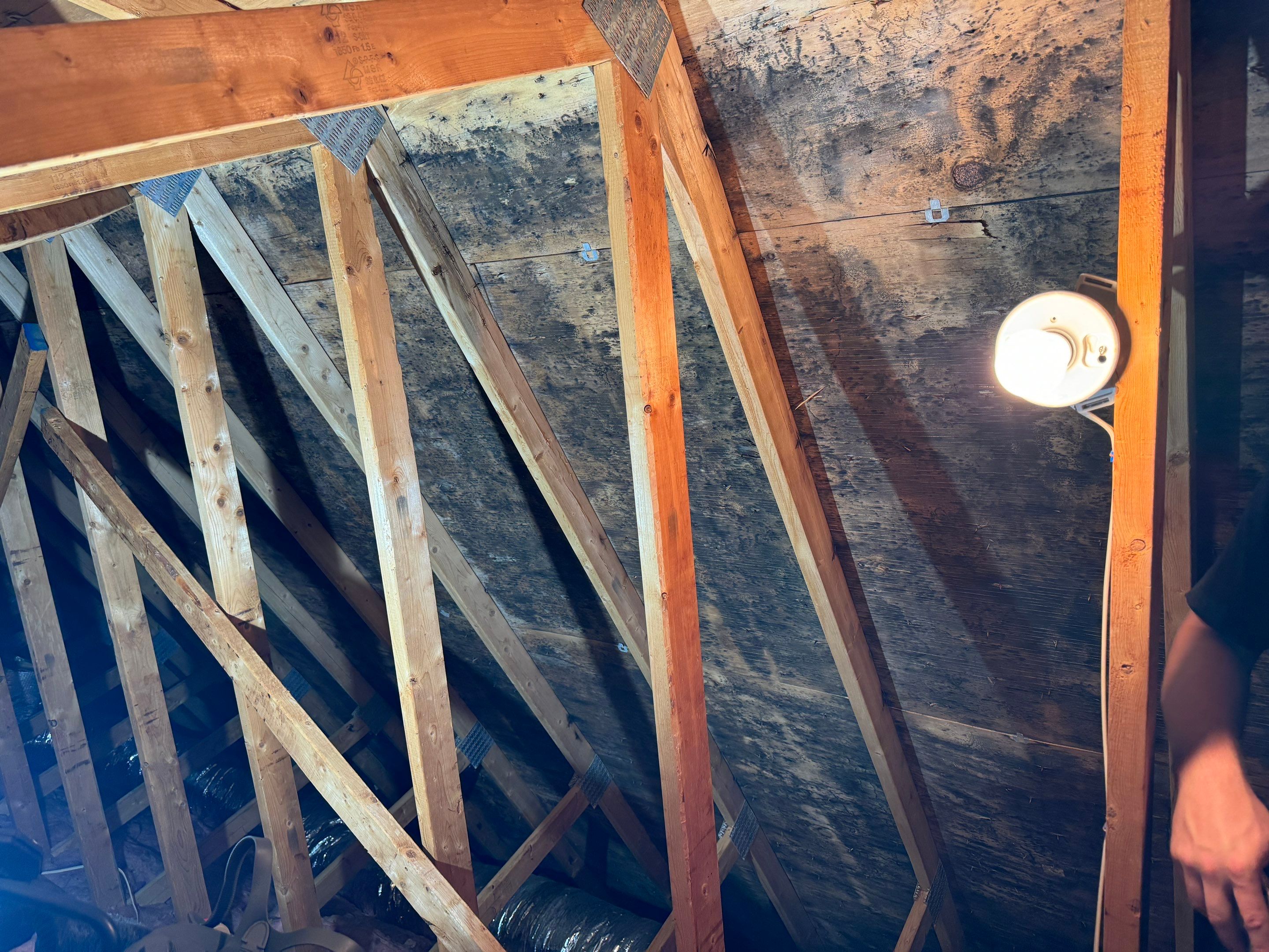 Attic Mold Remediation by Home Guarantee, LLC