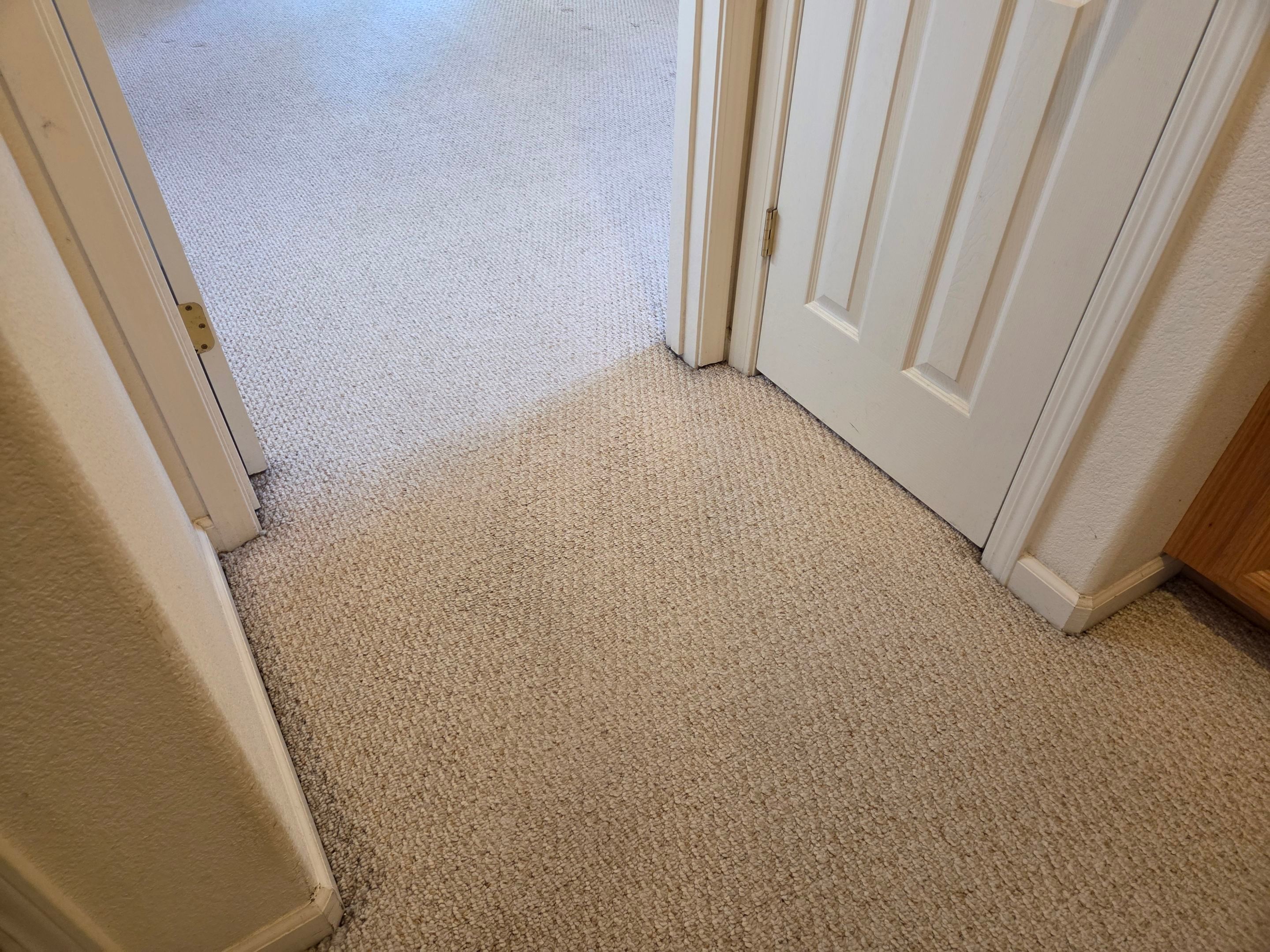 Heavy Carpet Cleaning for a Listing by Ardent Carpet Restore LLC
