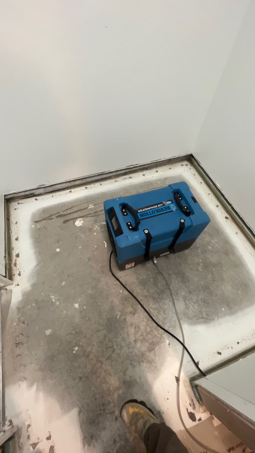 Water Damage  by Accountable Home Services