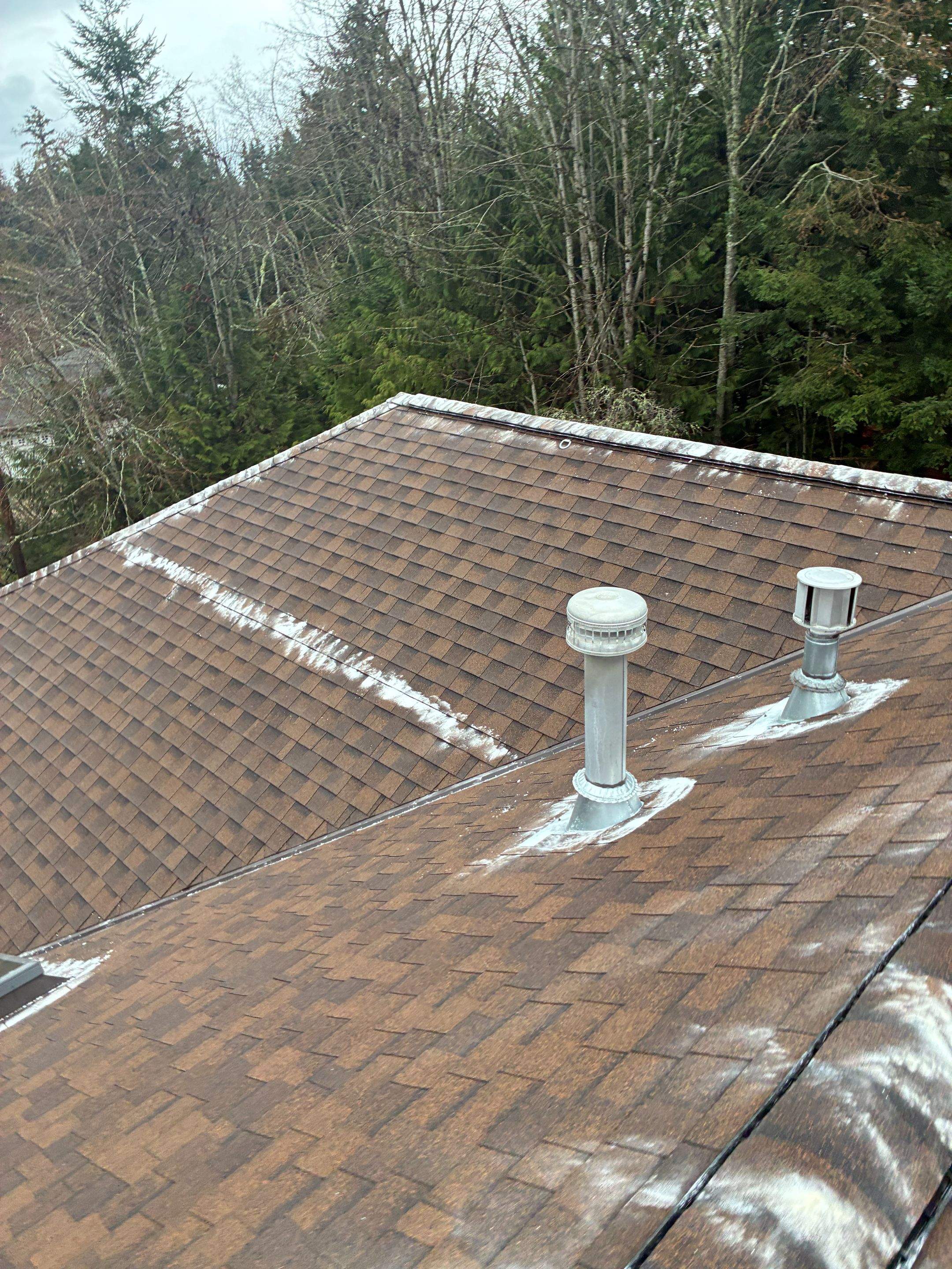 Residential Roof Cleaning in Bremerton, WA by Hanley Construction