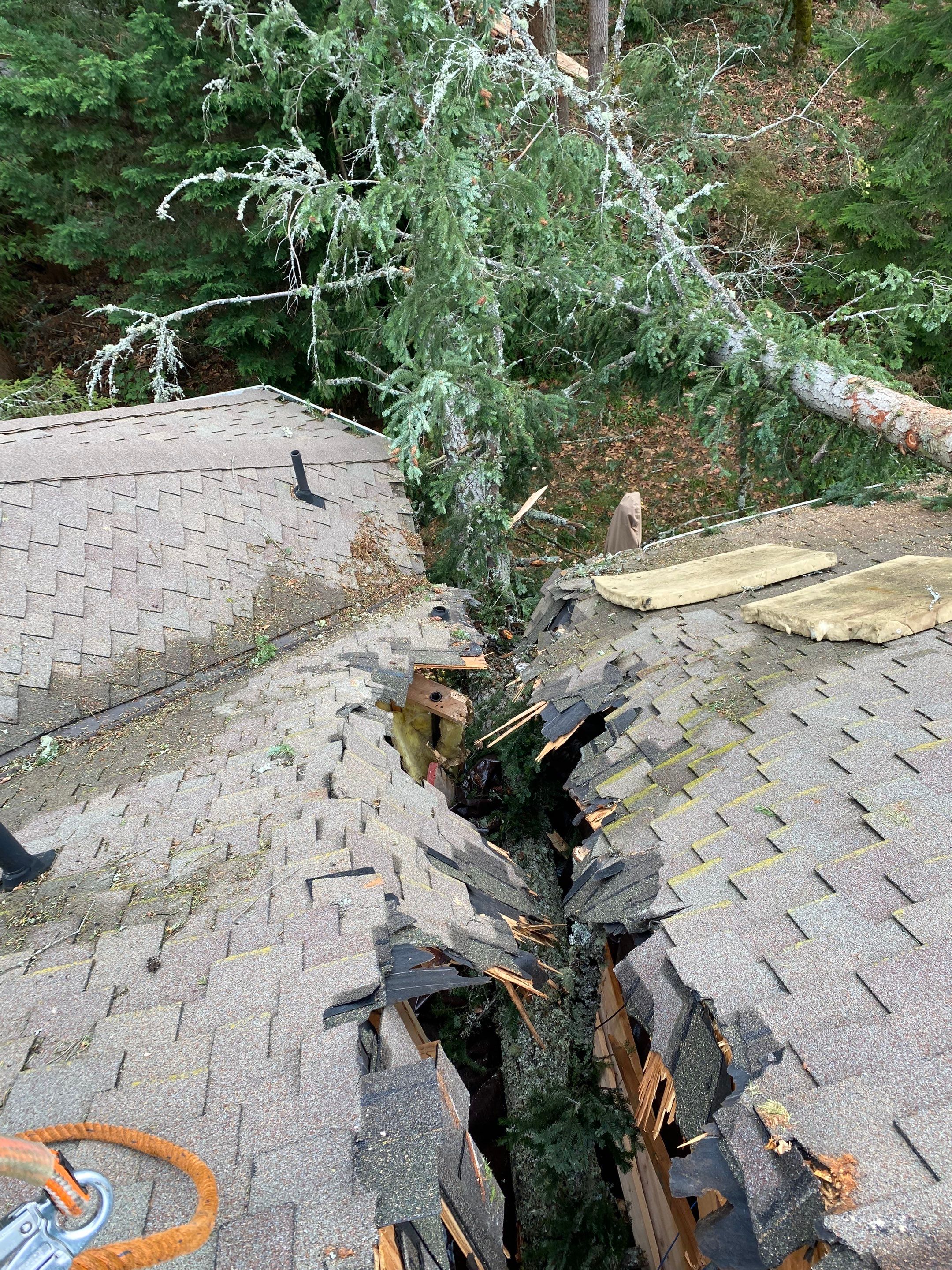 Tree Strike Roof Replacement in Sammamish by RoofSmart
