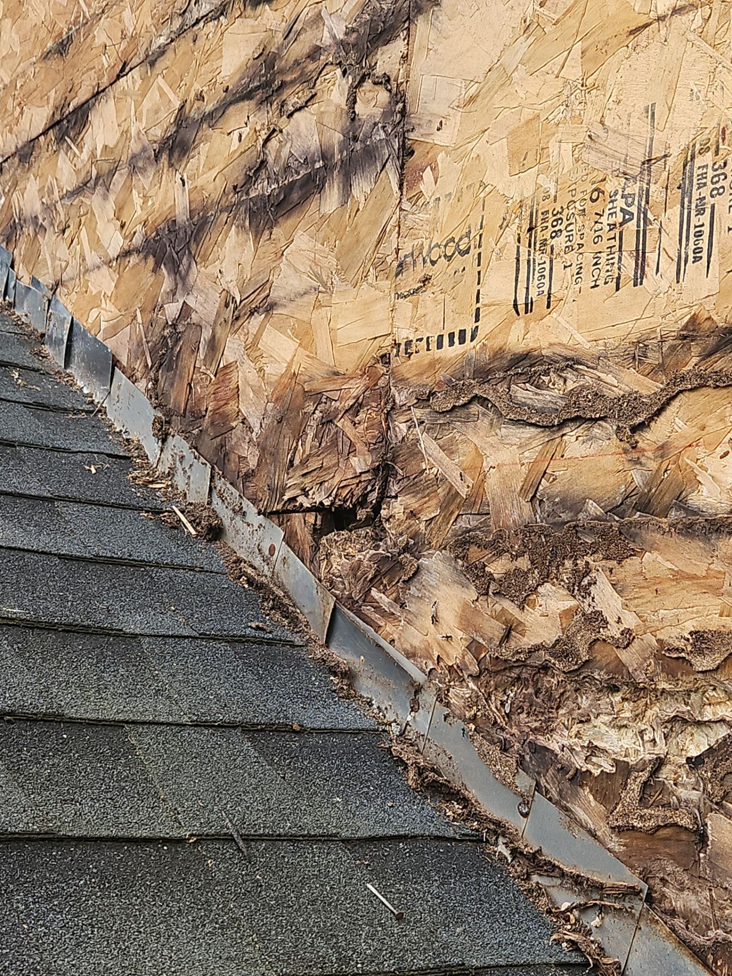 Siding | Methuen by Mighty Dog Roofing of Greater Middlesex County
