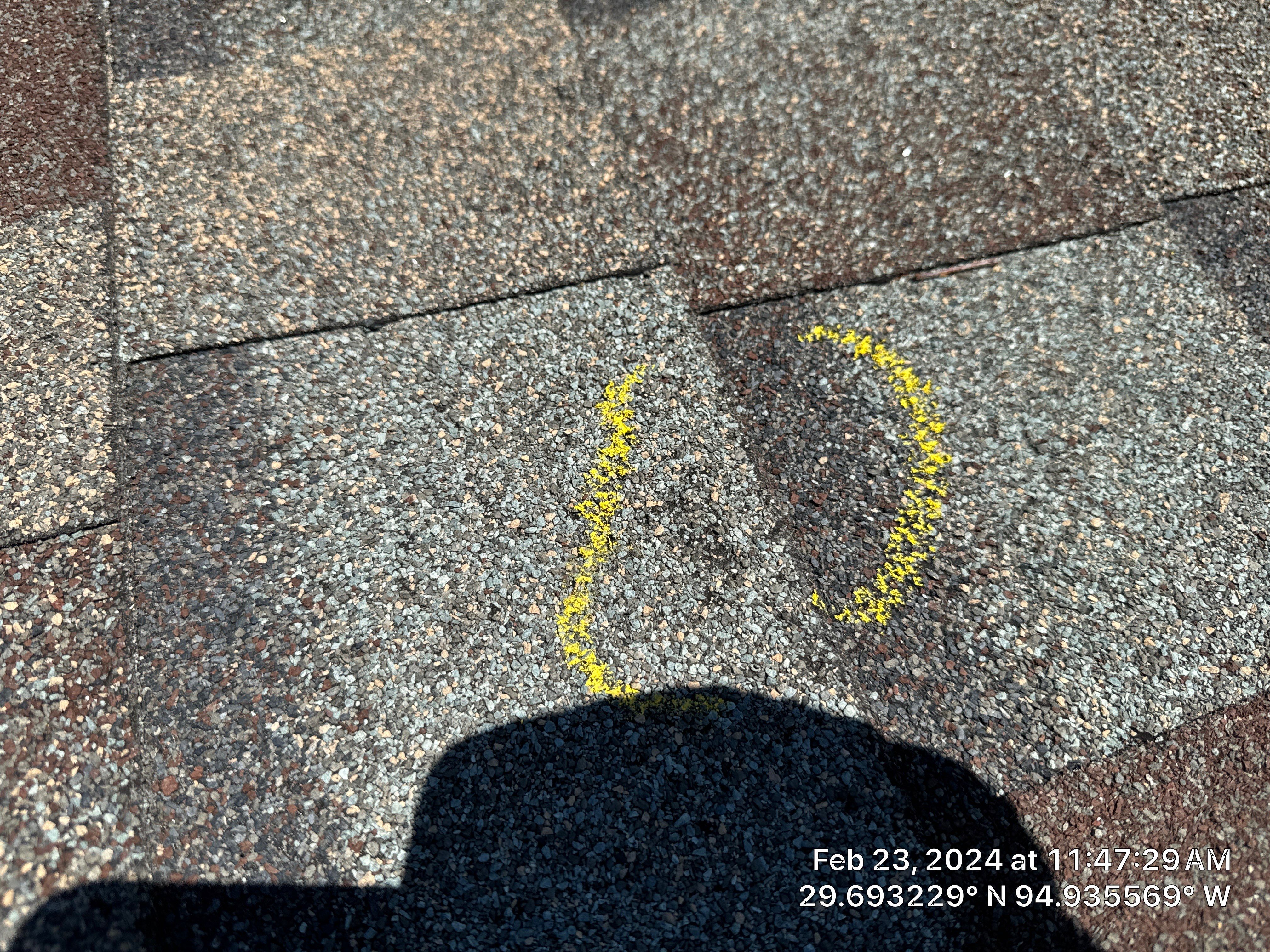 Hail Damage by Southern Belle