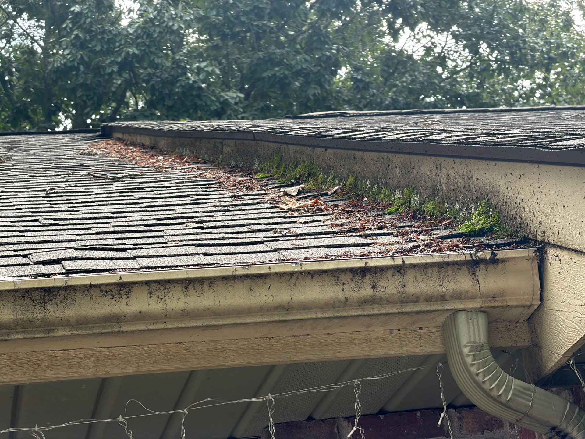 Project in fairfeild glade tn by Affordable Pros