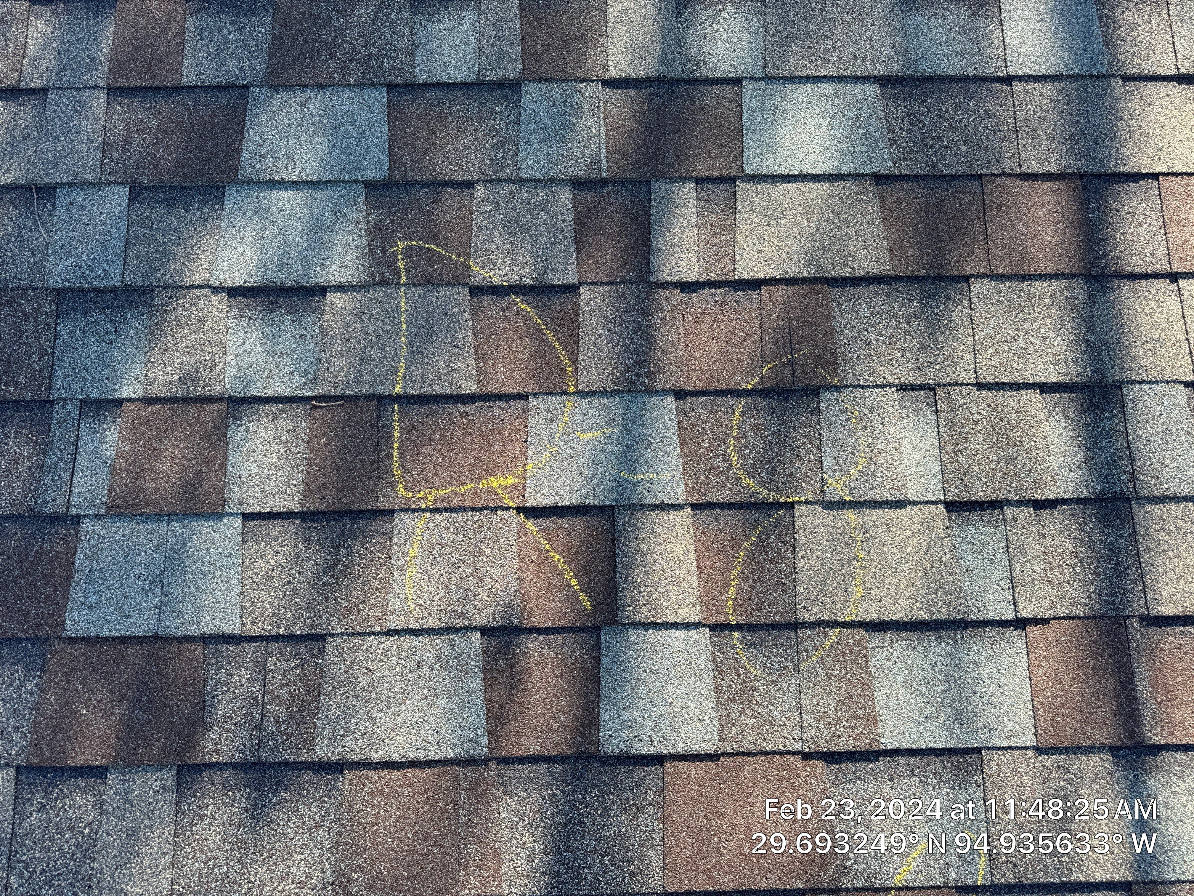 Hail Damage by Southern Belle