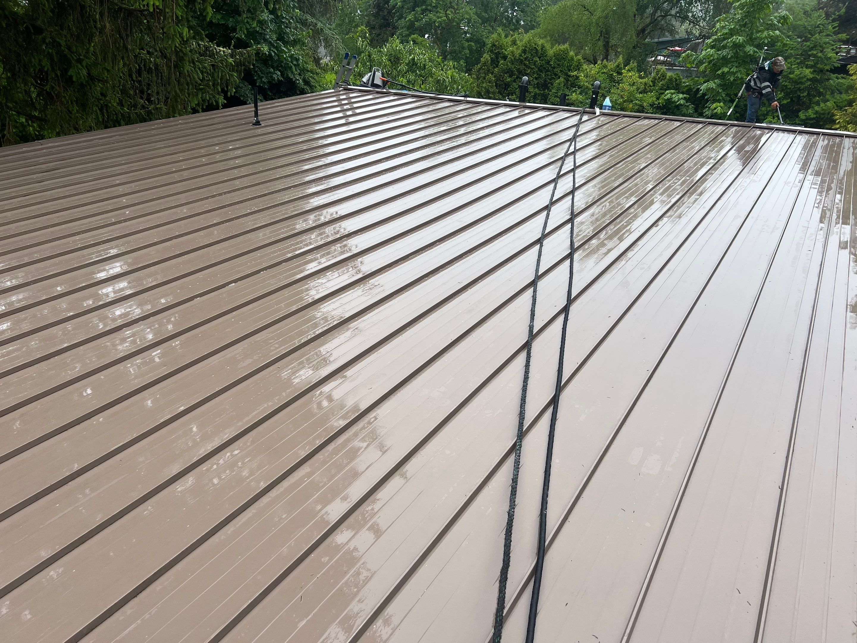 Roof Cleaning in Portland by Prodigy Roof Solutions