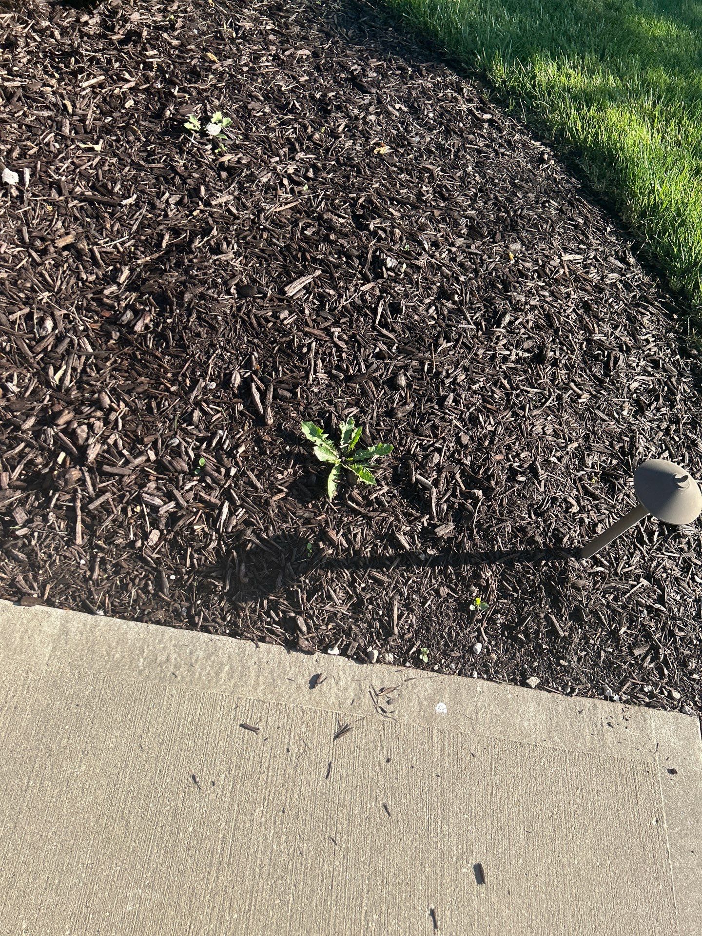 Custom Lawn QC visit  by Custom Lawn And Landscape