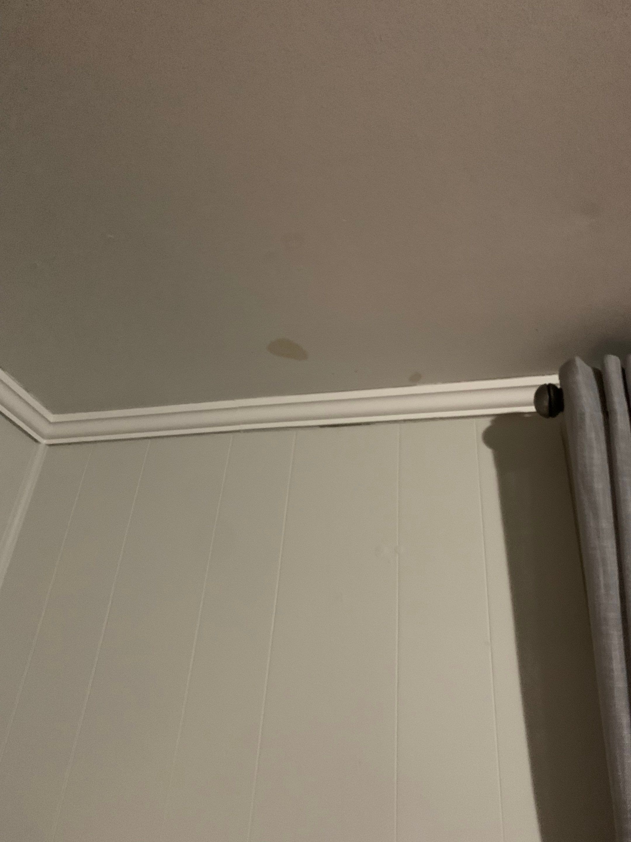 Ceiling Stain Repair by Praise God Painting, LLC