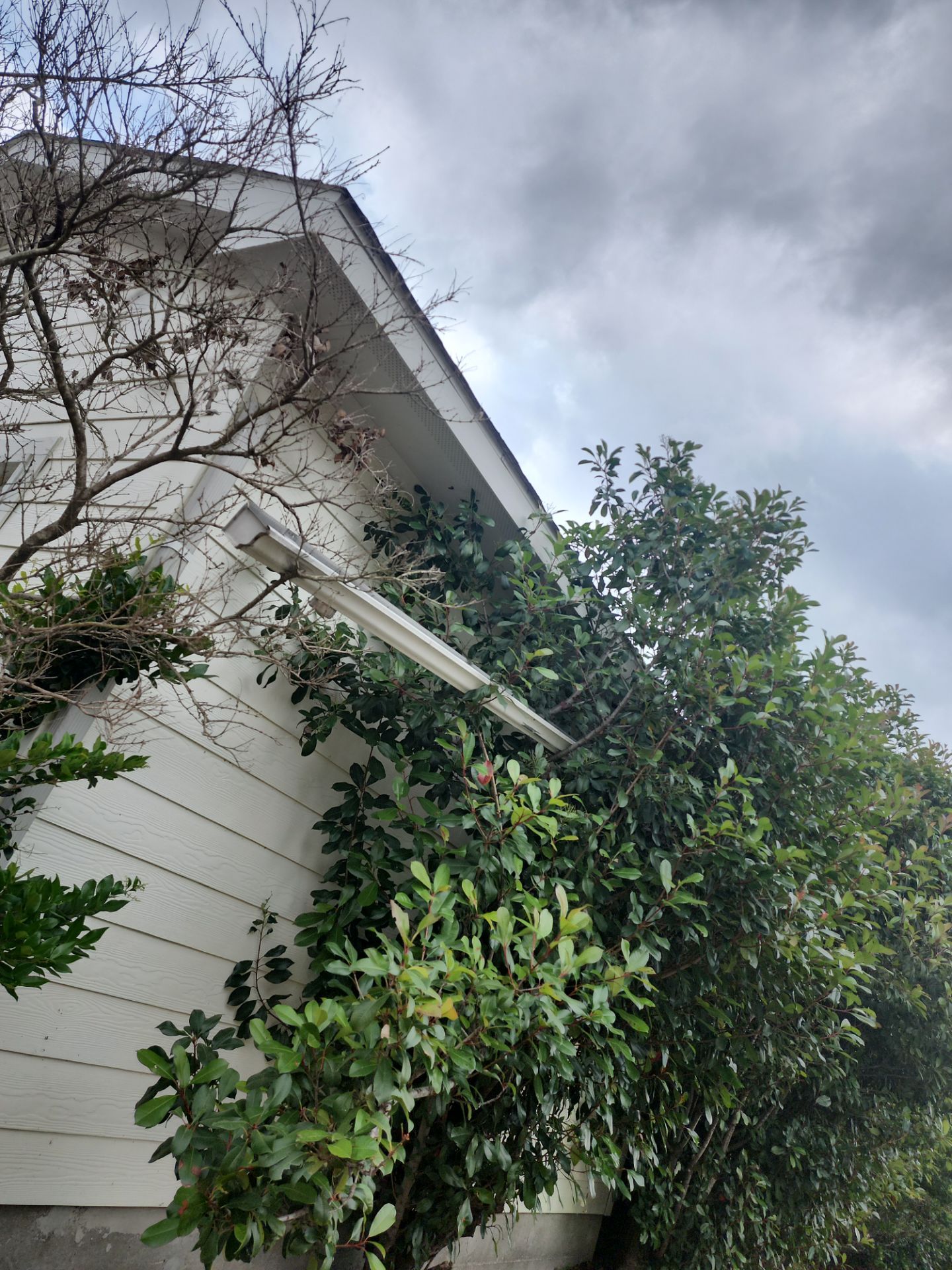 Residential Roofing Installation using Owen's Corning Duration (Lifetime) Shingles by Roof Repair Services LLC