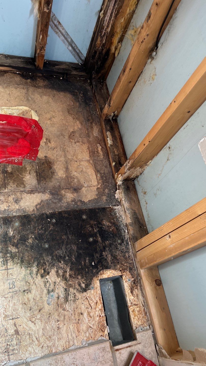 Water Damage and Mold Remediation by Accountable Home Services