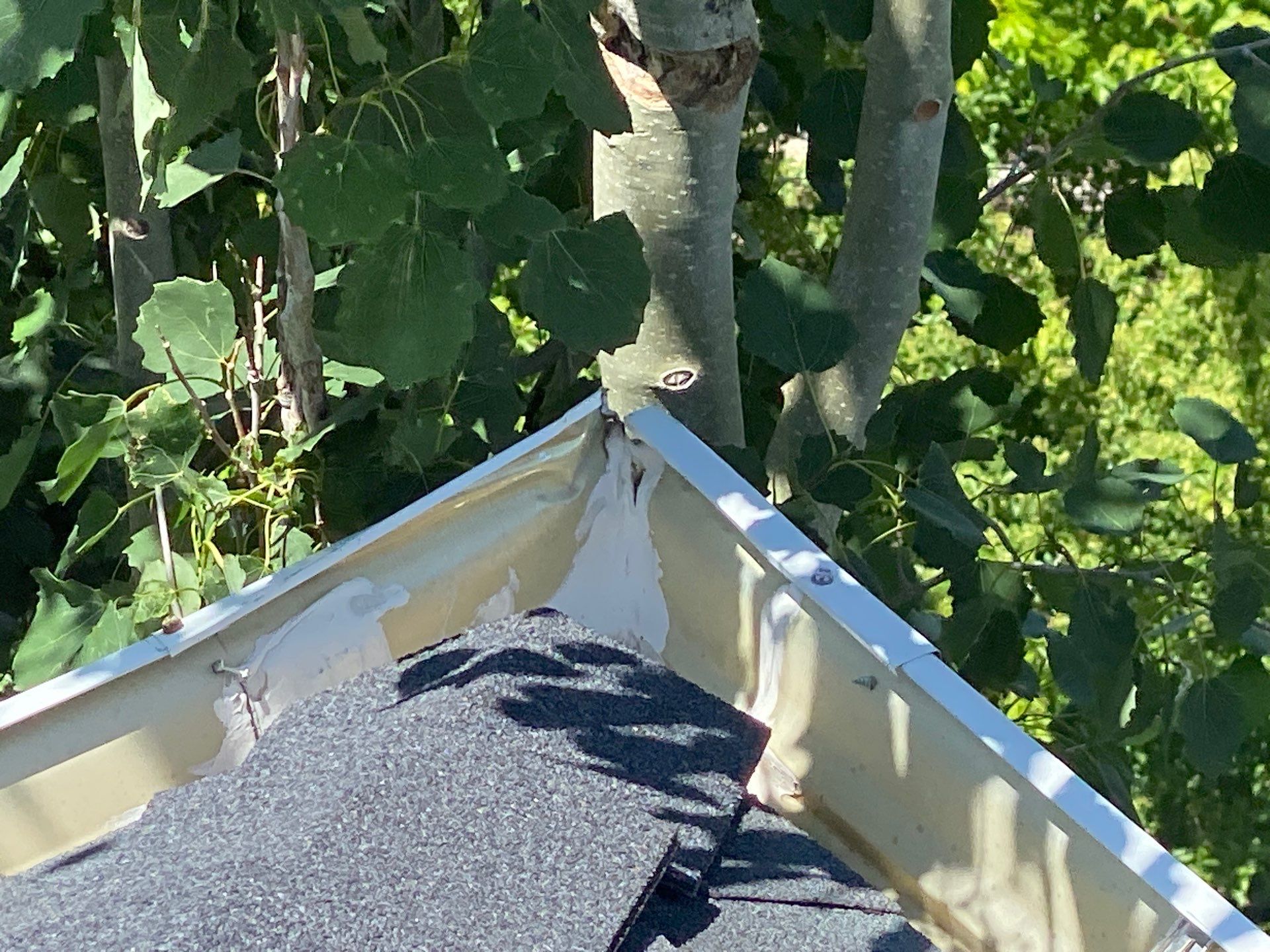 Project in sandy by Emerald Gotcha Gutters 