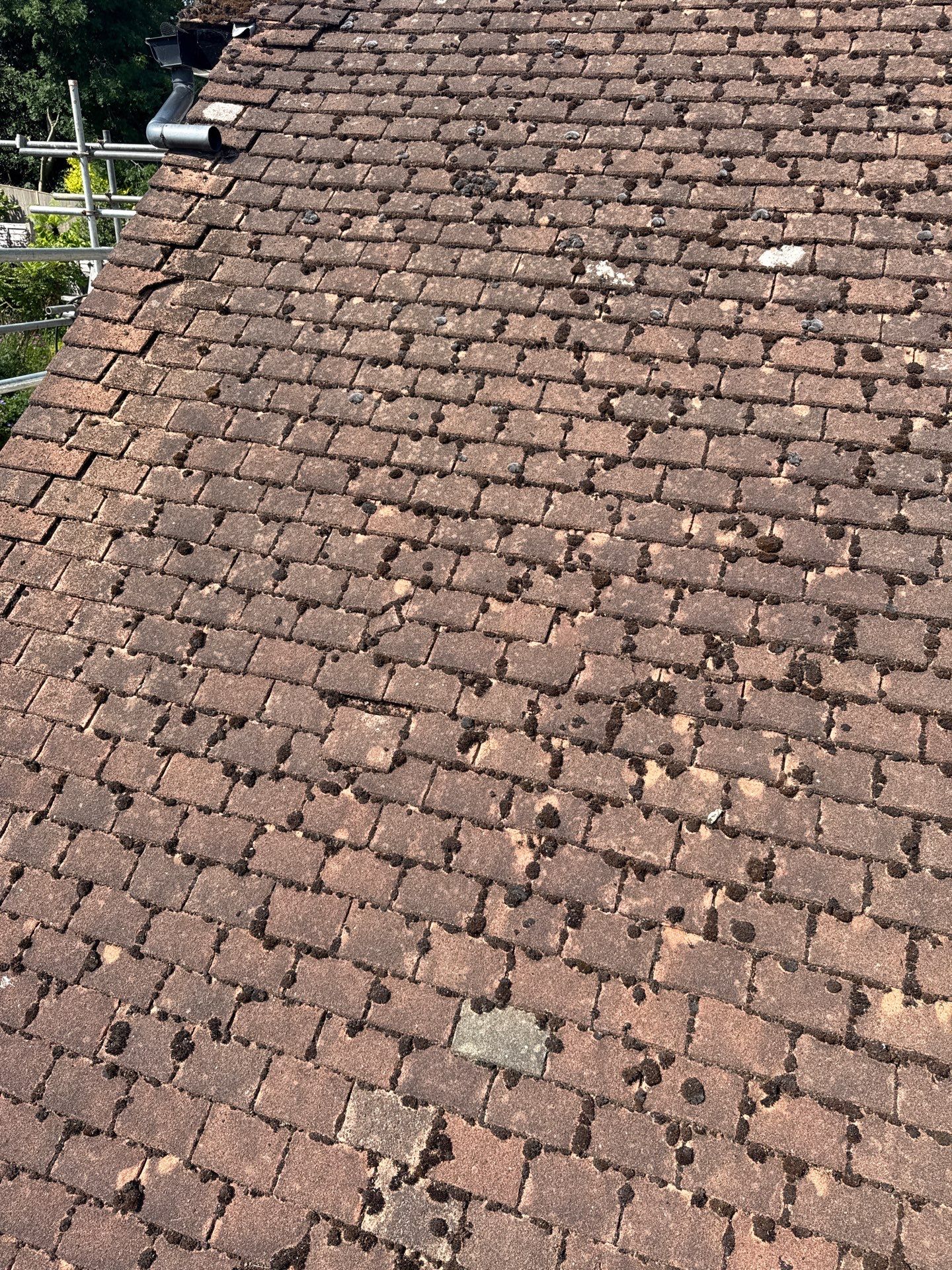 Roof Clean - Gutter Clean - Biocide Treatment by Ges Exterior Cleaning ltd