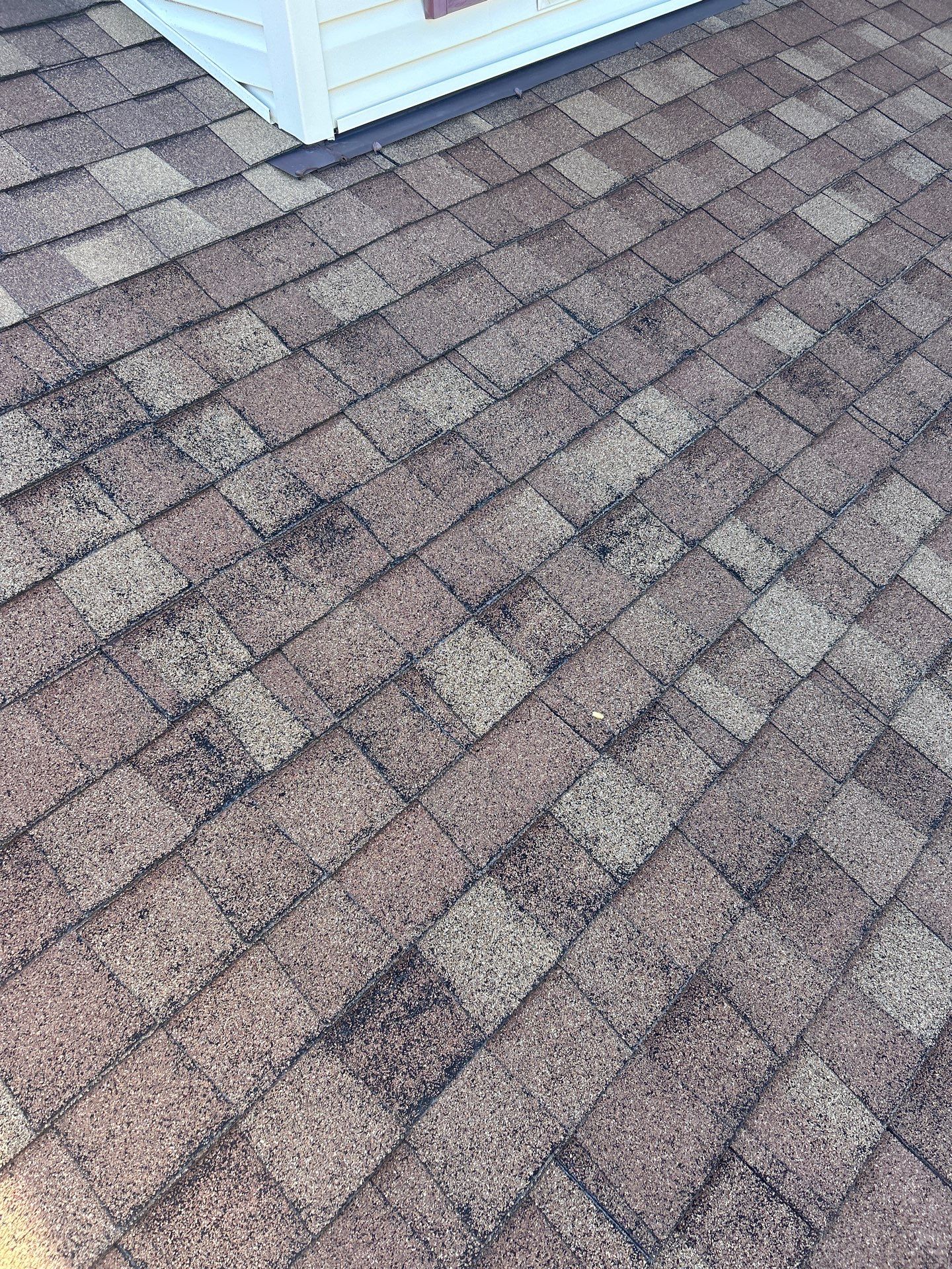 Sterling: Residential Roof Replacement with CertainTeed Landmark Pro Designer Shingles in Max Def Mojave Tan by RM Banning, Inc.